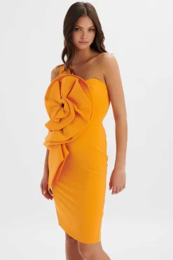 Nola 3D Statement Ruffle Midi Dress In Papaya<Lavish Alice Clearance