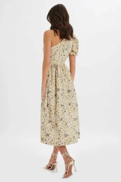Polly One Shoulder Puff Sleeve Midi Dress In Floral Broidery<Lavish Alice Sale